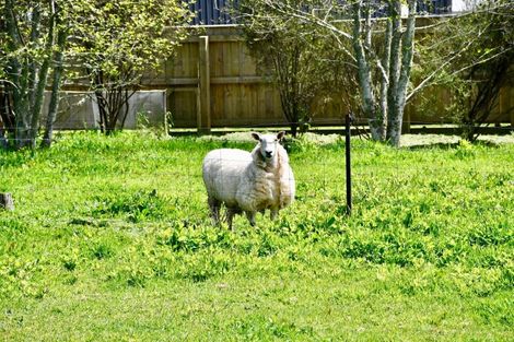 Photo of property in 131 Oparara Road, Karamea, 7893