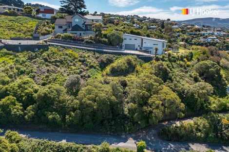Photo of property in 2l Clayton Street, Saint Clair, Dunedin, 9012