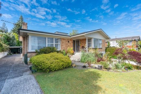 Photo of property in 22 Wake Street, Chartwell, Hamilton, 3210