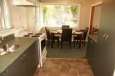 Photo of property in 29 Saint Albans Street, Bradford, Dunedin, 9011