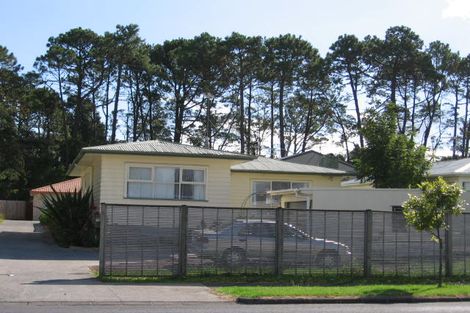 Photo of property in 147 Portage Road, New Lynn, Auckland, 0600