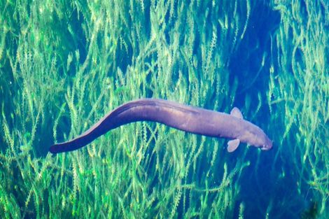 Photo of property in 53 Porika Road, Rotoroa, Murchison, 7077