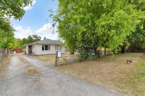Photo of property in 53 Hall Street, Cheviot, 7310