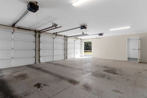 Photo of property in 407 Youngson Road, Whakamarama, Tauranga, 3179