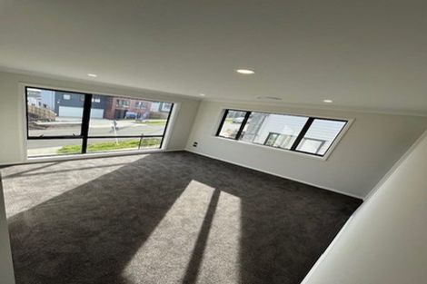 Photo of property in 30 Black Shed Road, Flat Bush, Auckland, 2019