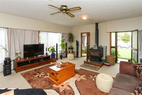 Photo of property in 1006 Konini Street, Mahora, Hastings, 4120