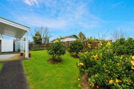 Photo of property in 8 Emerald Place, Chartwell, Hamilton, 3210