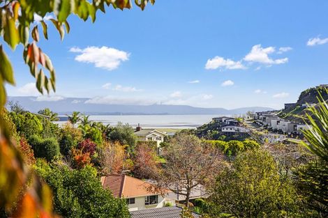 Photo of property in 41 Panorama Drive, Enner Glynn, Nelson, 7011