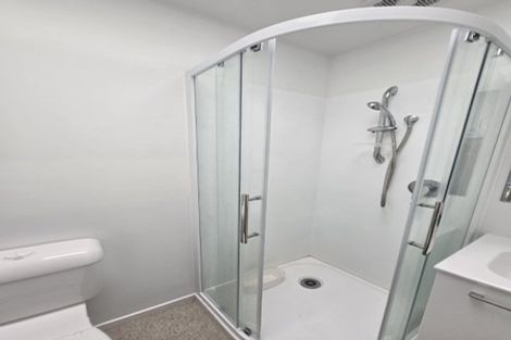 Photo of property in 8a Haddon Place, Dunedin Central, Dunedin, 9016