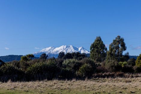 Photo of property in 176 Mangawhero River Road, Ohakune, 4691