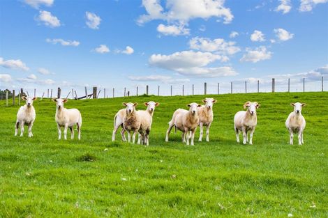 Photo of property in 5150b Kaipara Coast Highway, Wellsford, 0972