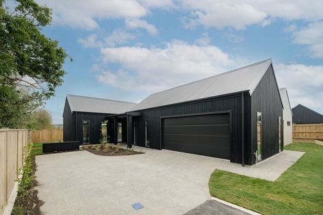 Photo of property in 161 Pharazyn Street, Maewa, Feilding, 4702