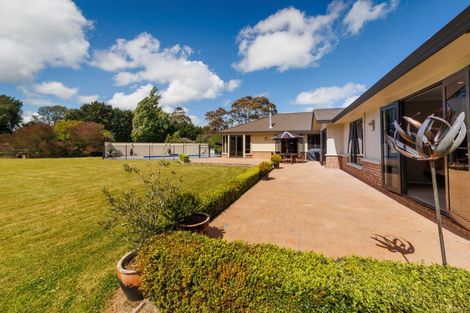 Photo of property in 7 Sherwill Street, Feilding, 4702