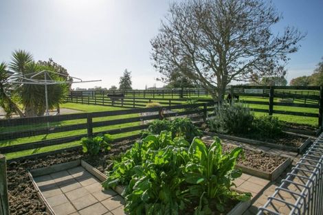 Photo of property in 273 Kaipaki Road, Ohaupo, 3881