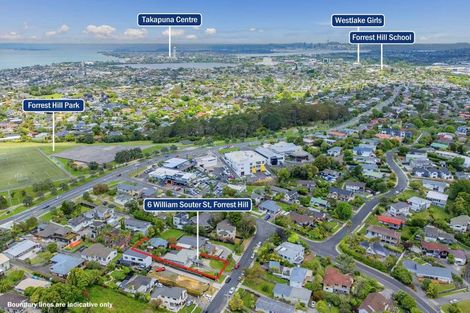Photo of property in 6 William Souter Street, Forrest Hill, Auckland, 0620