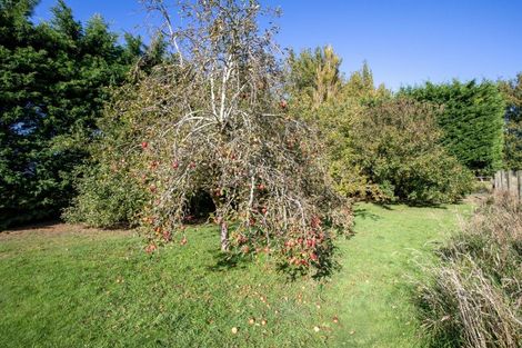 Photo of property in 109 Marshalls Road, Springston, Christchurch, 7677