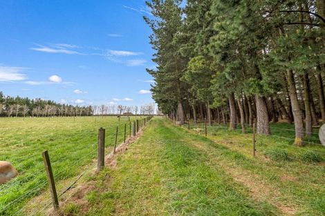 Photo of property in 191 Larcombs Road, Rolleston, Christchurch, 7678