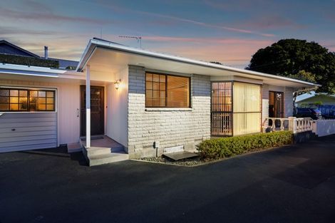 Photo of property in 1/5 Selwyn Street, Lower Vogeltown, New Plymouth, 4310