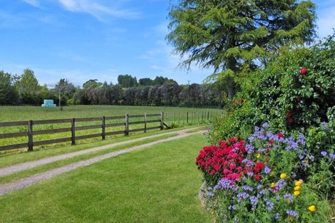 Photo of property in 1009 White Pine Bush Road, Taneatua, Whakatane, 3191