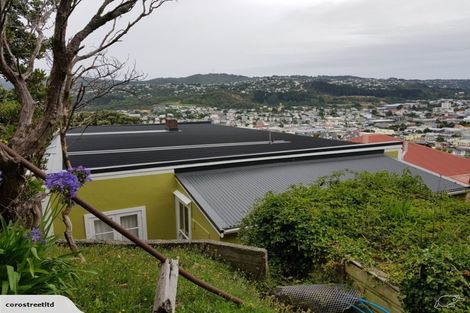 Photo of property in 149 Coromandel Street, Newtown, Wellington, 6021