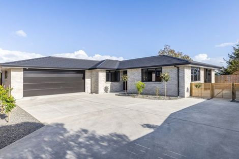 Photo of property in 6a Saint Annes Street, Levin, 5510