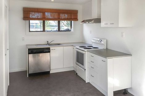 Photo of property in 113 Ruskin Street, Addington, Christchurch, 8024