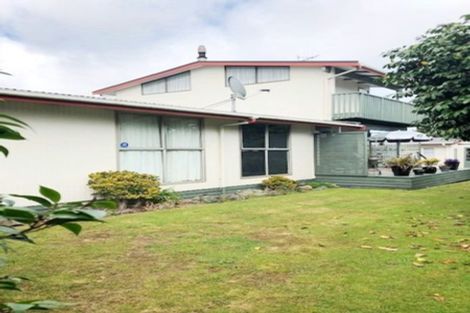 Photo of property in 125 Tiro Tiro Road, Levin, 5510