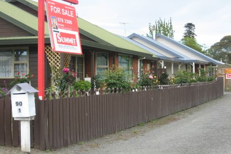 Photo of property in 90-1a Maxwell Road, Blenheim, 7201