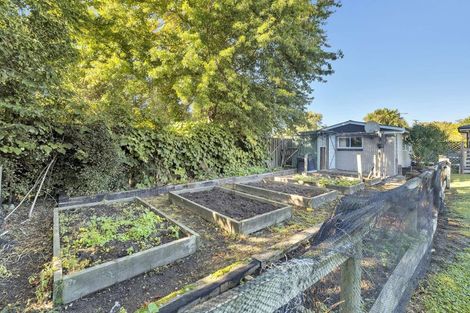 Photo of property in 10 Cadman Street, Cheviot, 7310