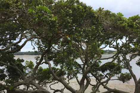 Photo of property in 2 Citrus Place, Mangawhai, 0505