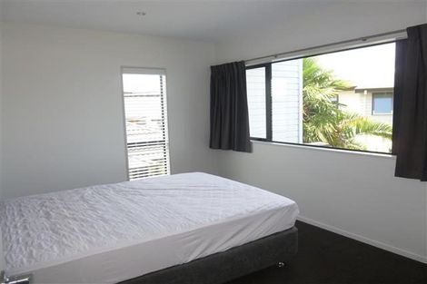 Photo of property in 195u1 Massey Street, Frankton, Hamilton, 3204