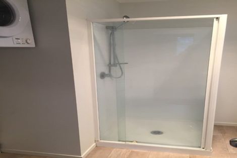 Photo of property in 13u3 Lyon Street, Frankton, Hamilton, 3204