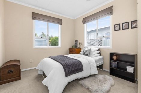 Photo of property in 209 Riverslea Road South, Akina, Hastings, 4122