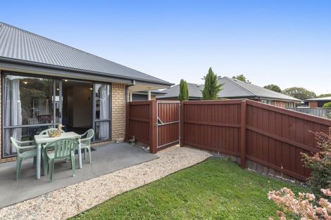 Photo of property in 38 Opawa Road, Waltham, Christchurch, 8023