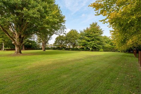 Photo of property in 59a Western Avenue, Omokoroa, 3114