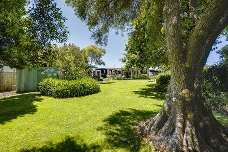 Photo of property in 186 Whirinaki Road, Eskdale, Napier, 4182
