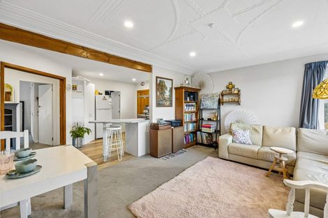 Photo of property in 102 Sidey Street, Calton Hill, Dunedin, 9012