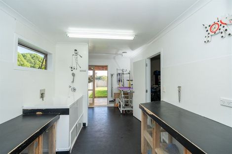 Photo of property in 61a Saint Kilda Road, Cambridge, 3434