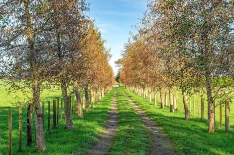 Photo of property in 348b Francis Line, East Taratahi, Carterton, 5792