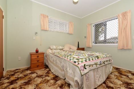 Photo of property in 53 Alfred Street, Fairfield, Hamilton, 3214