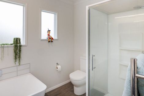 Photo of property in 394 Ruahine Street, Terrace End, Palmerston North, 4410