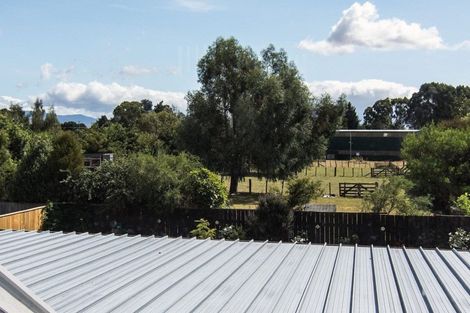 Photo of property in 30 Colville Street, Masterton, 5810