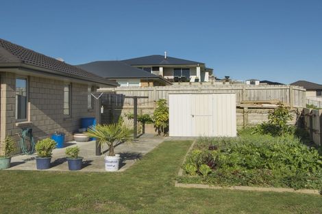 Photo of property in 33 Merlot Drive, Pyes Pa, Tauranga, 3112