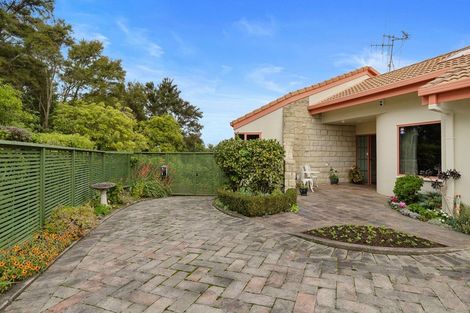 Photo of property in 25 Munro Place, Flagstaff, Hamilton, 3210