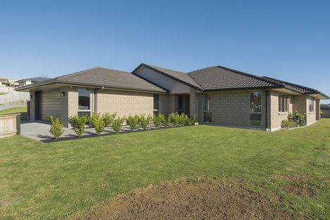 Photo of property in 33 Merlot Drive, Pyes Pa, Tauranga, 3112