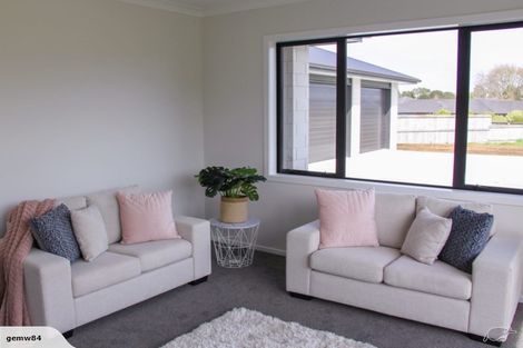 Photo of property in 19 Hoylake Place, Wattle Downs, Auckland, 2103