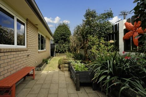 Photo of property in 10a Whitaker Street, Otumoetai, Tauranga, 3110