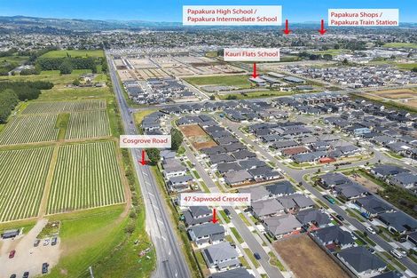 Photo of property in 43 Sapwood Crescent, Takanini, 2110