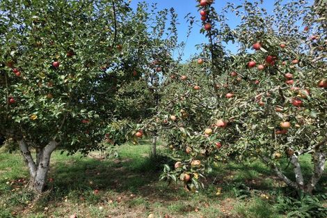 Photo of property in 13 Edievale Road, Edievale, Tapanui, 9587