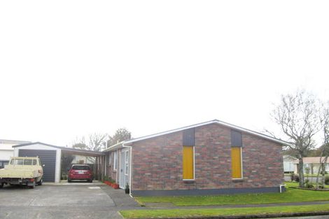 Photo of property in 20 Tybalt Street, Stratford, 4332